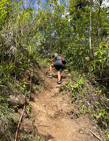 Cinchona Waterfall Trail