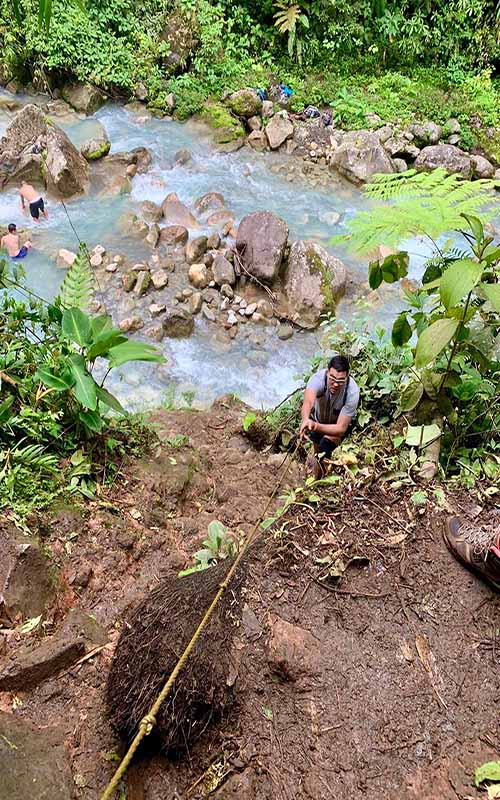 Bajos del Toro Waterfall Hike