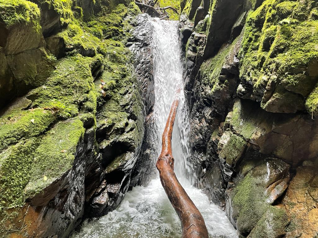 Iyok Ami, Cloud Forest Costa Rica