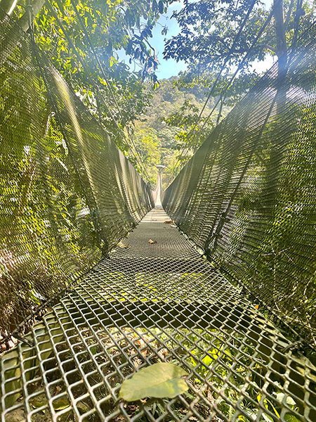 Los Campesinos Ecolodge Hanging Bridge
