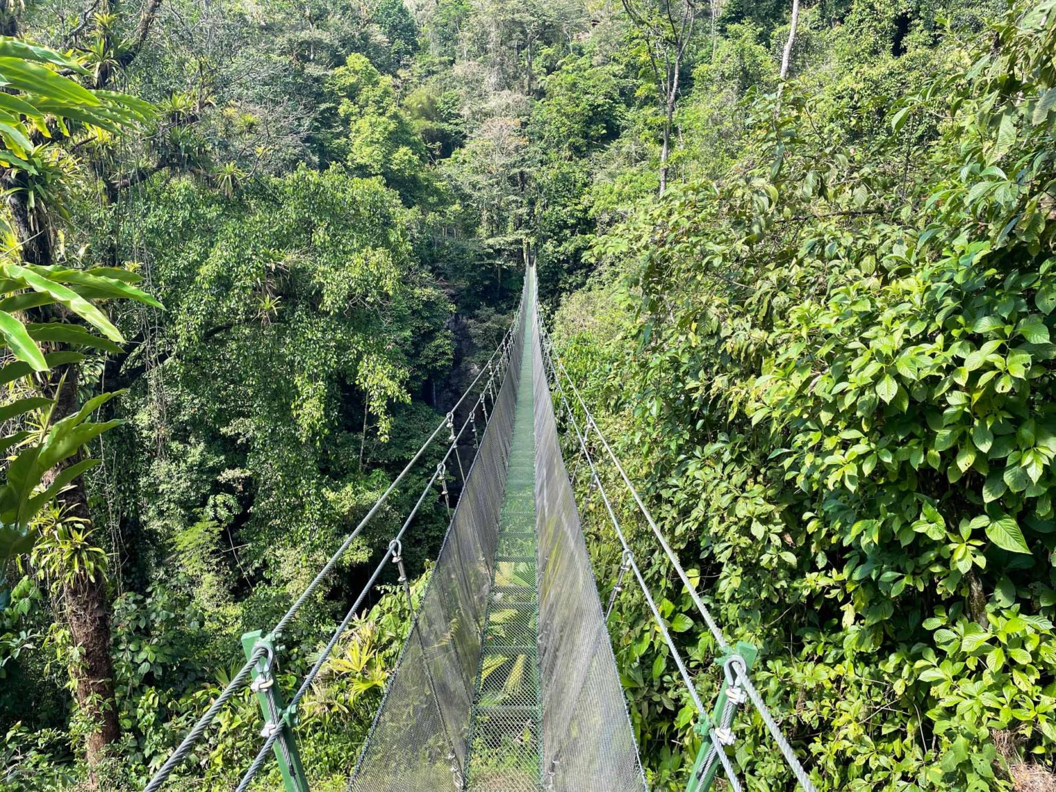 hiking-at-los-campesinos-ecolodge-your-costa-rica-adventure