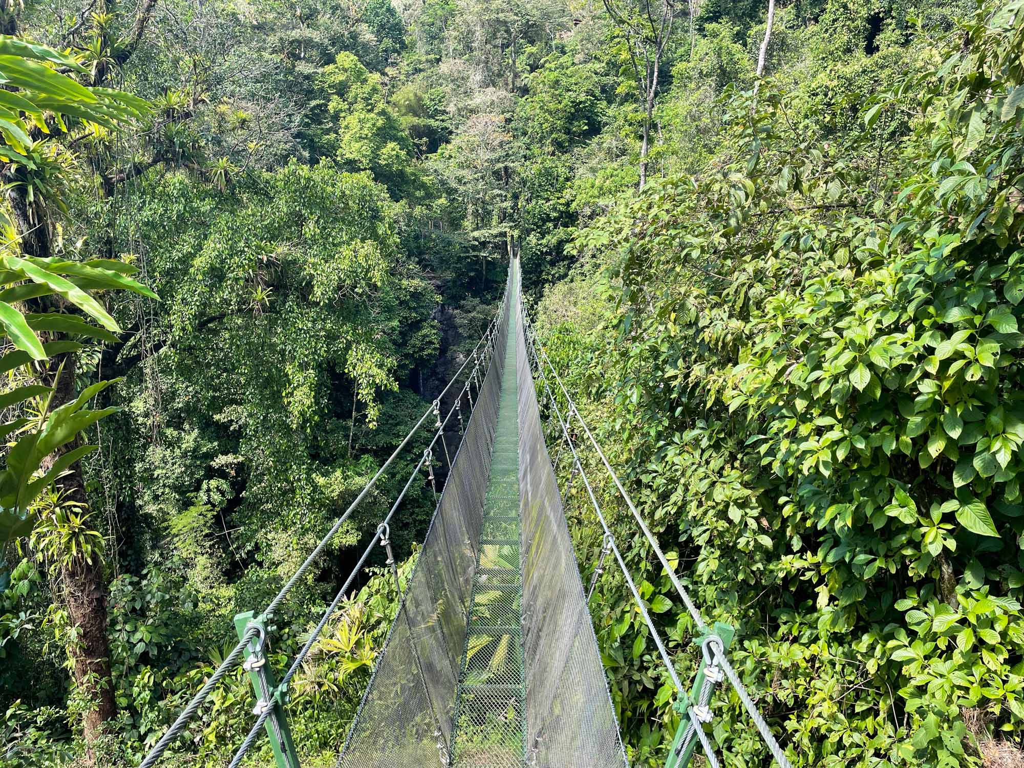 Read more about the article Hiking at Los Campesinos Ecolodge