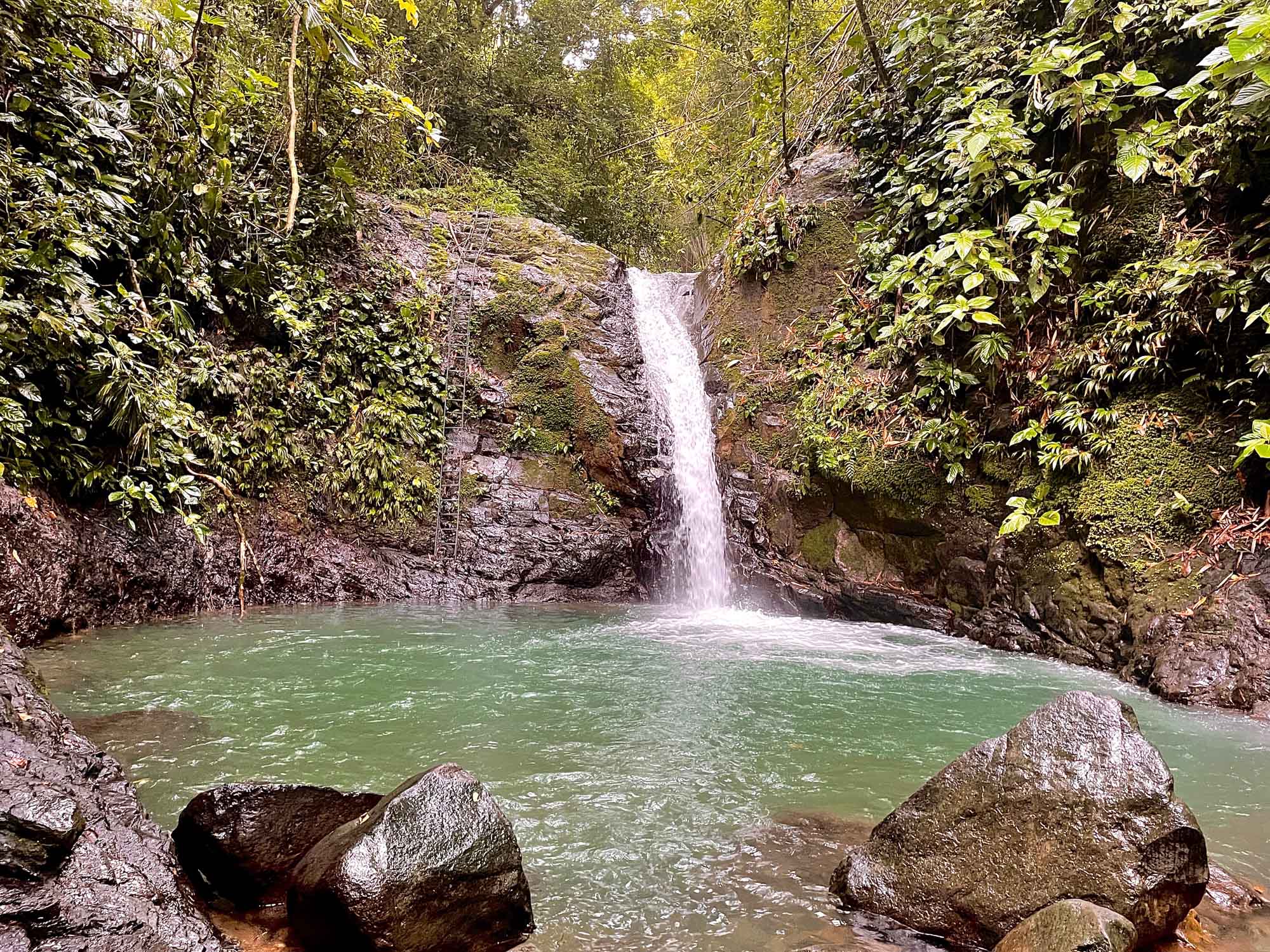 Read more about the article Uvita Waterfall in Bahía Ballena