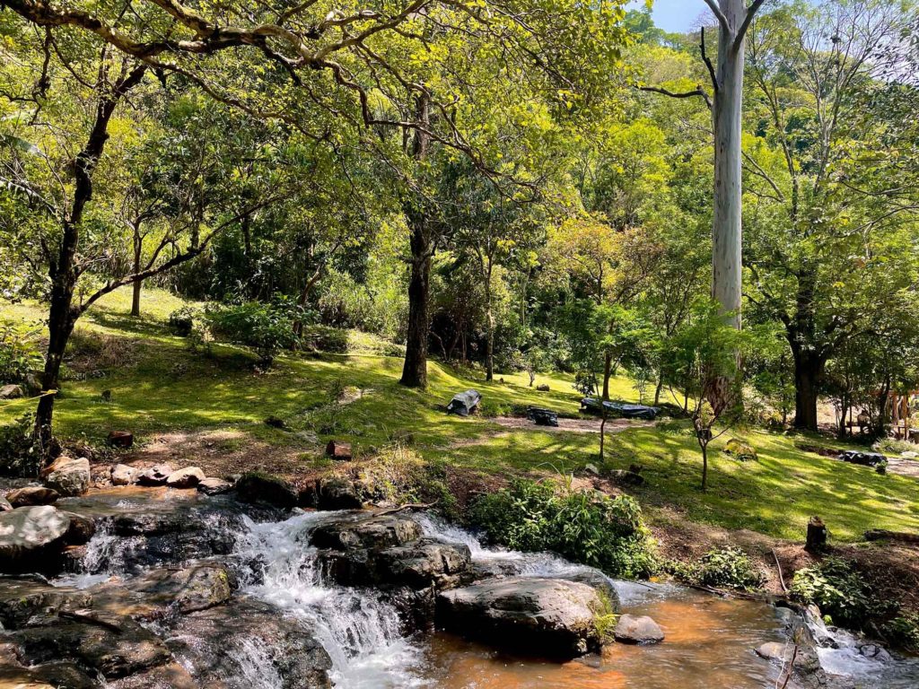 Montanas de Cariblanco Santa Ana