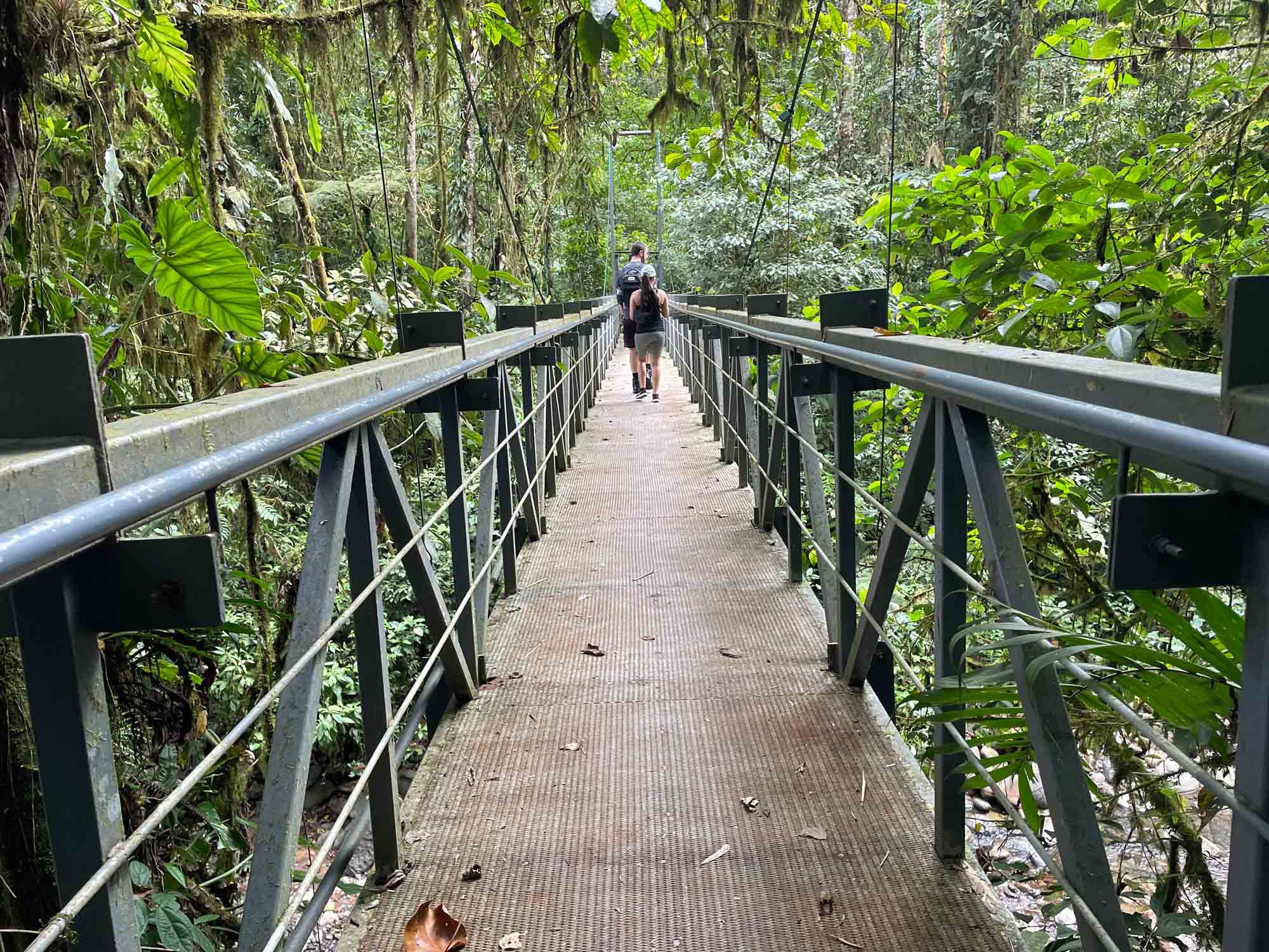 Hanging bridge La Marta Wildlife Refuge