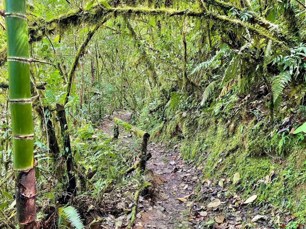 Trails at La Marta Wildlife Refuge