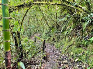 Trails at La Marta Wildlife Refuge