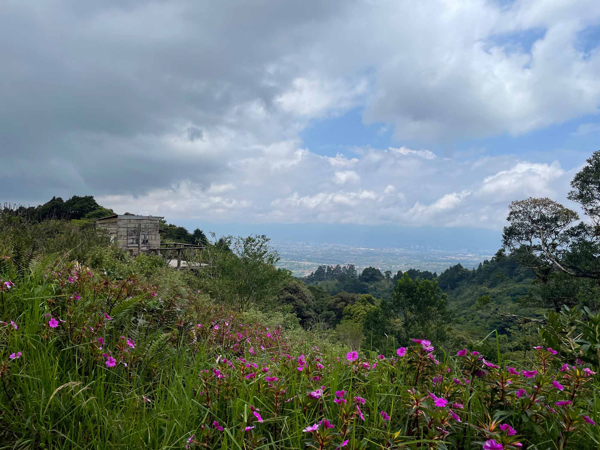 Read more about the article Hiking at Bosque Caricias