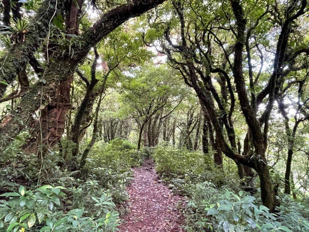 Hiking at Bosque Caricias - Your Costa Rica Adventure