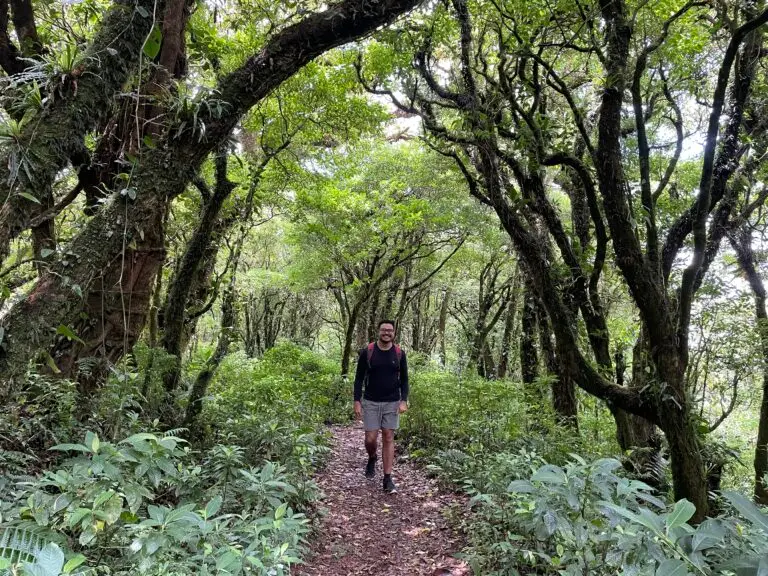 Costa Rica Rainforest