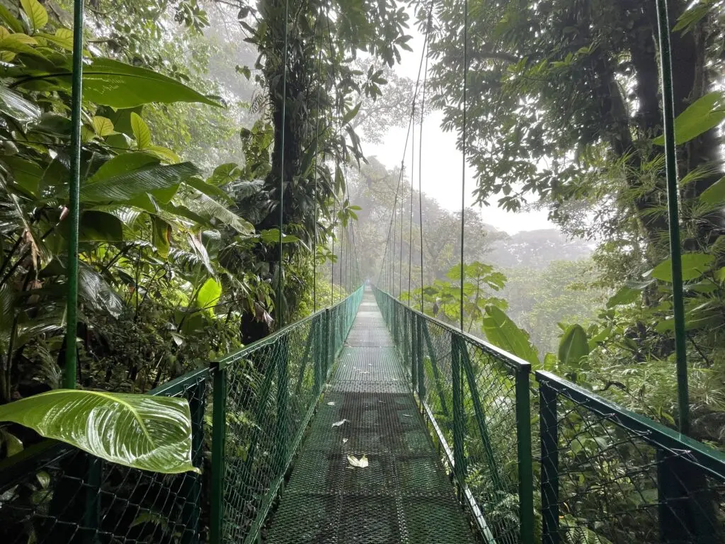 Hanging Bridges Monteverde